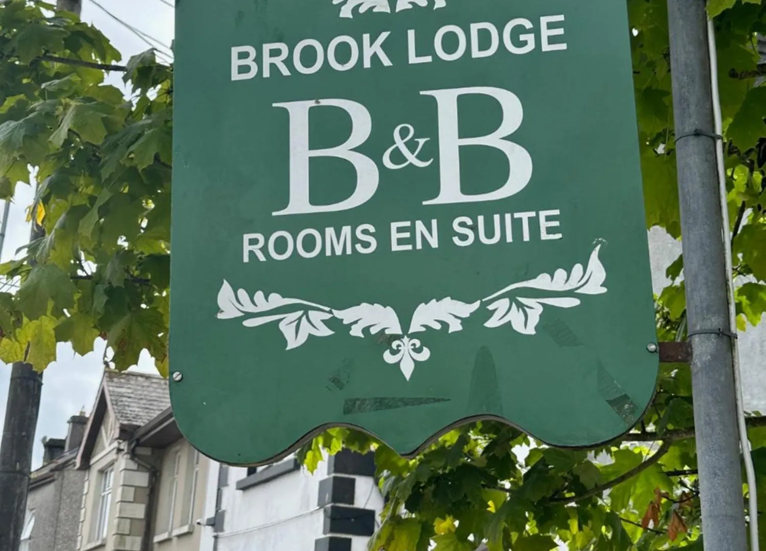 The Brook Lodge Голуэй